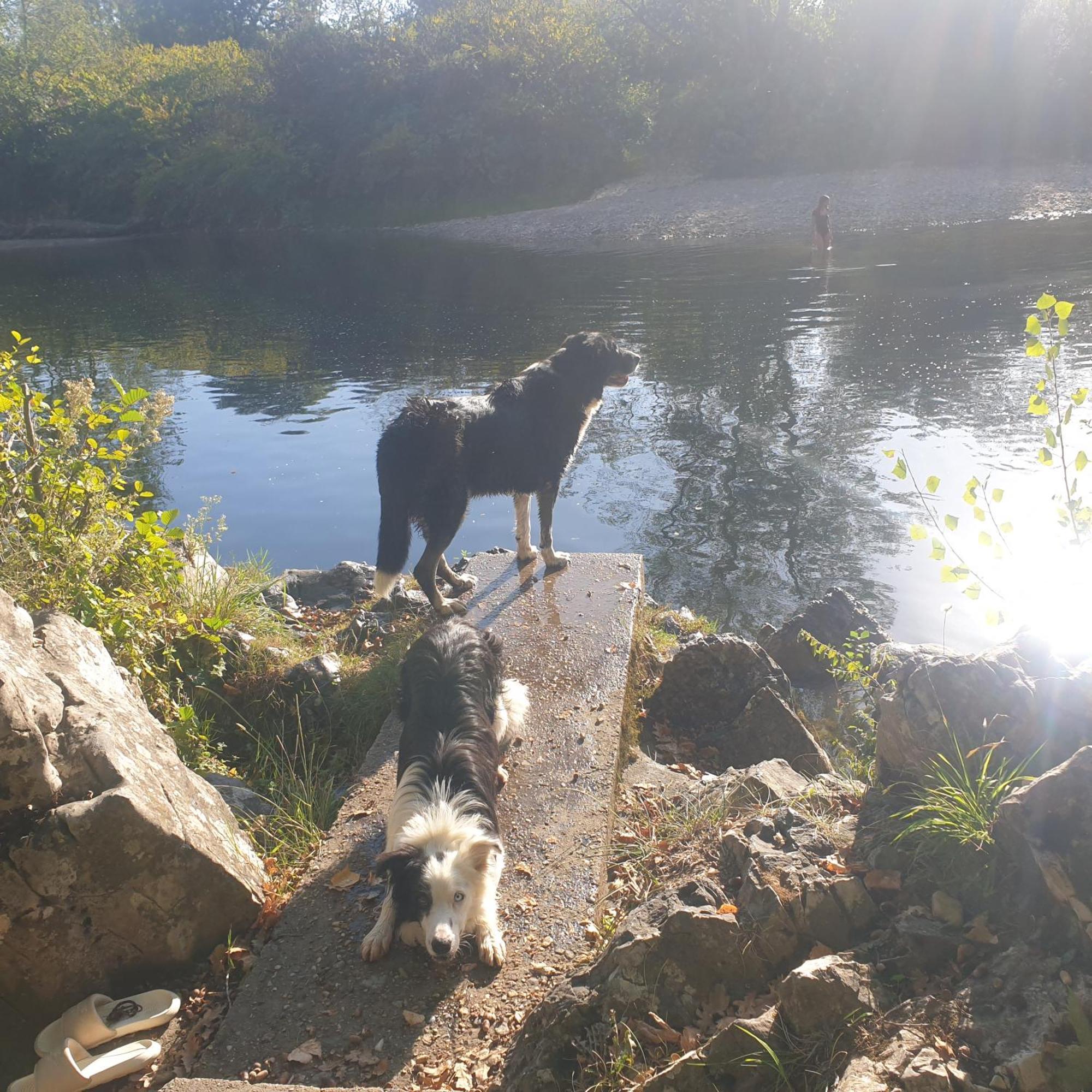 Pensjonat El Buho De La Remolina Bode Zewnętrze zdjęcie